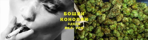 PSILOCYBIN Алзамай