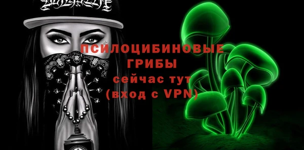 герыч Алексин