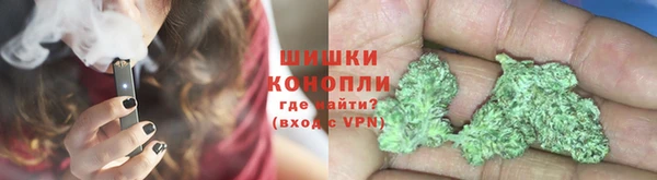 PSILOCYBIN Алзамай