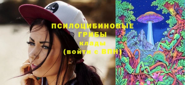 PSILOCYBIN Алзамай