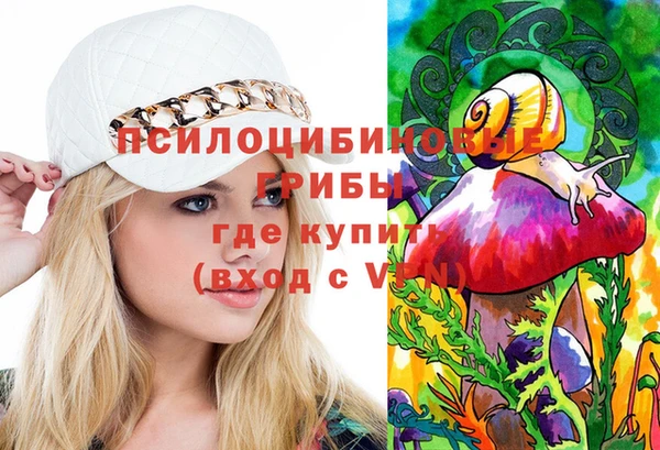твердый Алексеевка