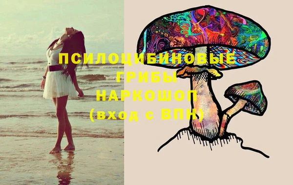 PSILOCYBIN Алзамай