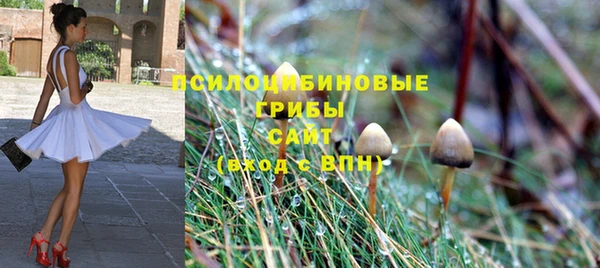 PSILOCYBIN Алзамай