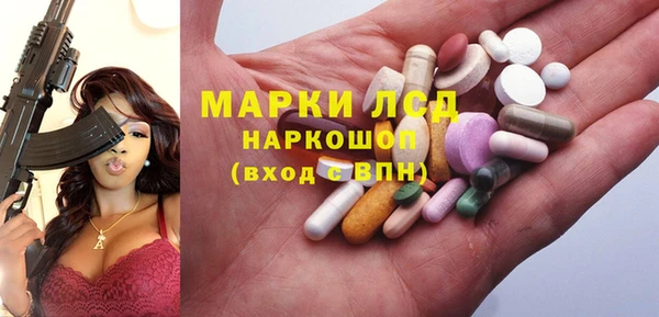 PSILOCYBIN Алзамай